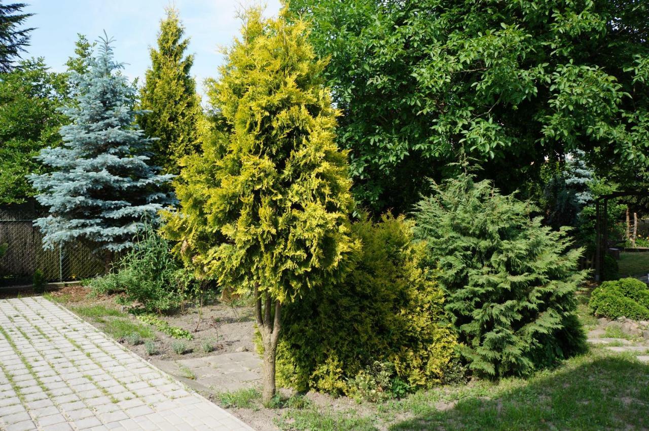Apartamenty Z Klimatem Posen Exterior foto